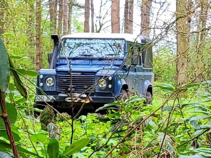 Blue Land Rover Defender surrounded by leafy woodland