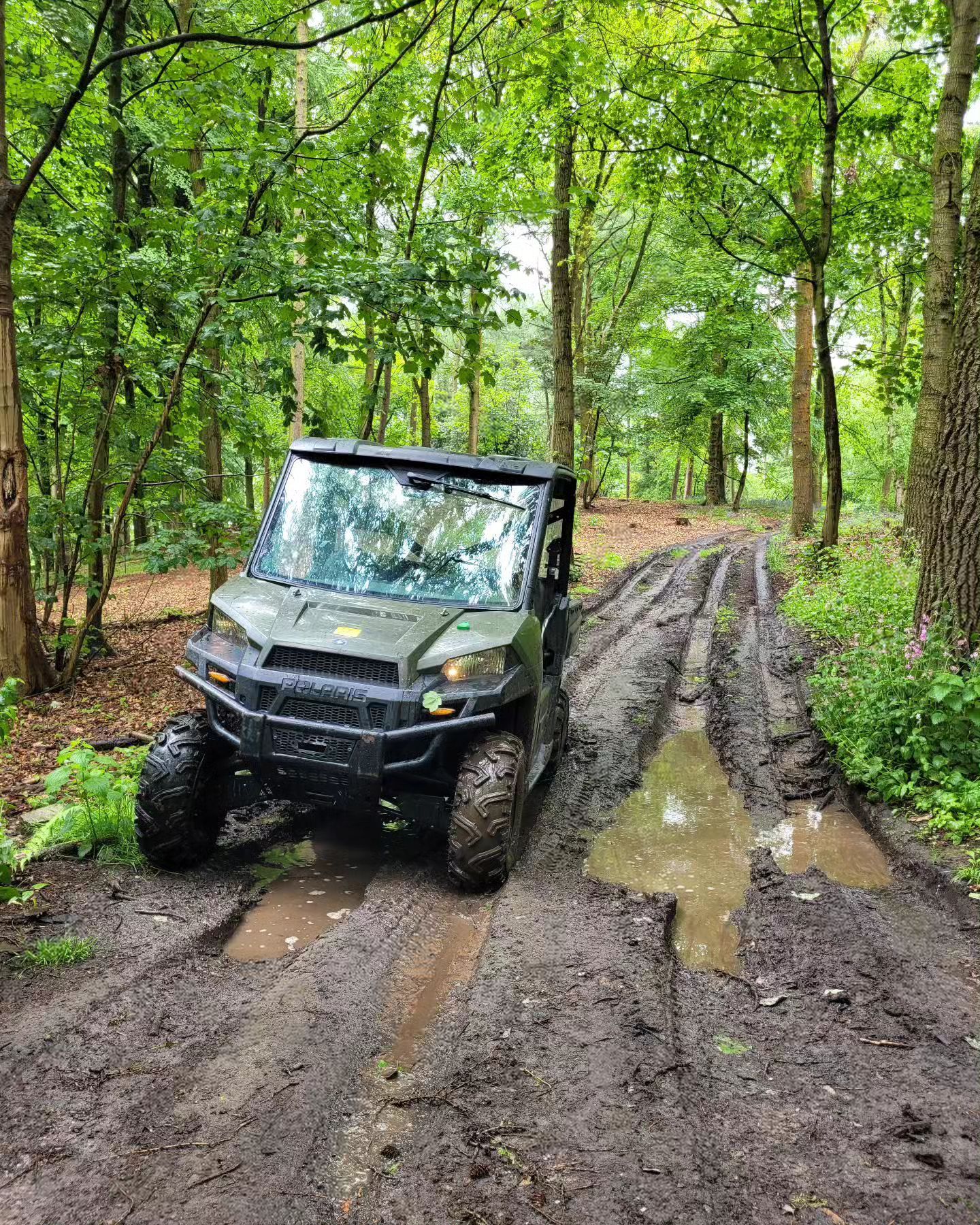 Land Rover Defender navigating deep ruts in woodland