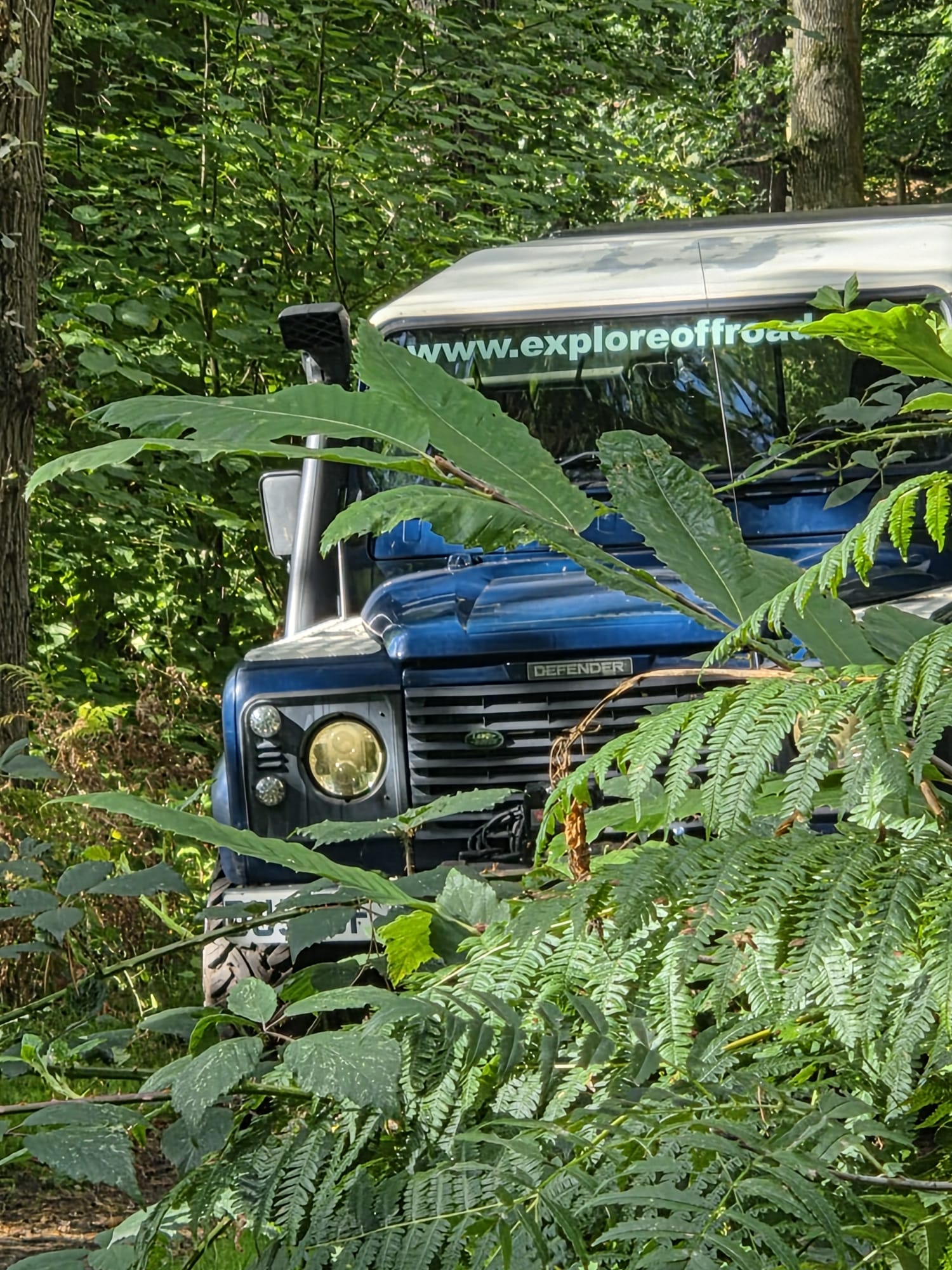 A blue Land Rover Defender partly surrounded by leafy branches and ferns on a wooded off-road trail.
